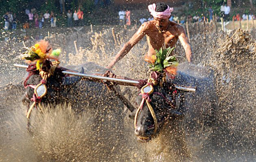 kamabala